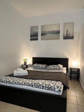 Downtown Rose Garden Apartments whit Garage opcional